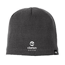 THE NORTH FACE MOUNTAIN BEANIE